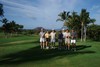 hawaii-GolfGroup2, 115 kb