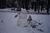 Pictures From Yosemite