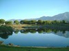 Pictures From Annual Palm Springs Huevo Grande Rojo Tournament