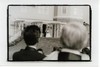 small_Ceremony-145-DadNan1, 96 kb