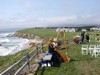 Wedding-Harpist1, 79 kb
