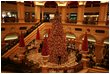 Pictures from Trip to Macao (2008/01/01)