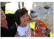 Pictures from Caelyn's Candyland Birthday (2010/08/02)